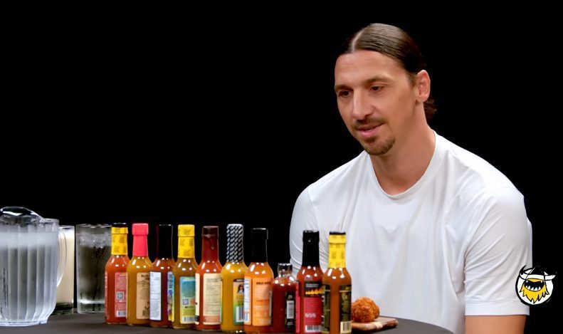 Zlatan Ibrahimovic Uppväxt