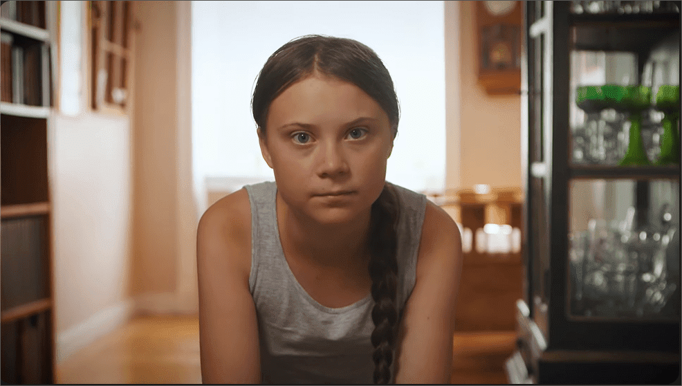 Greta Thunberg Lön