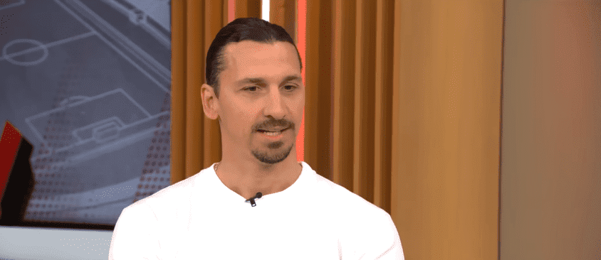 Zlatan Ibrahimovic Barn