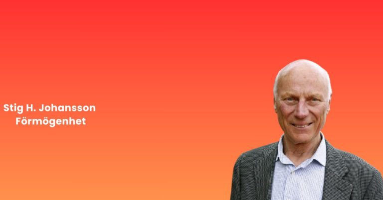 Stig H. Johansson Förmögenhet