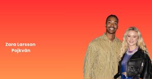 Zara Larsson Pojkvän